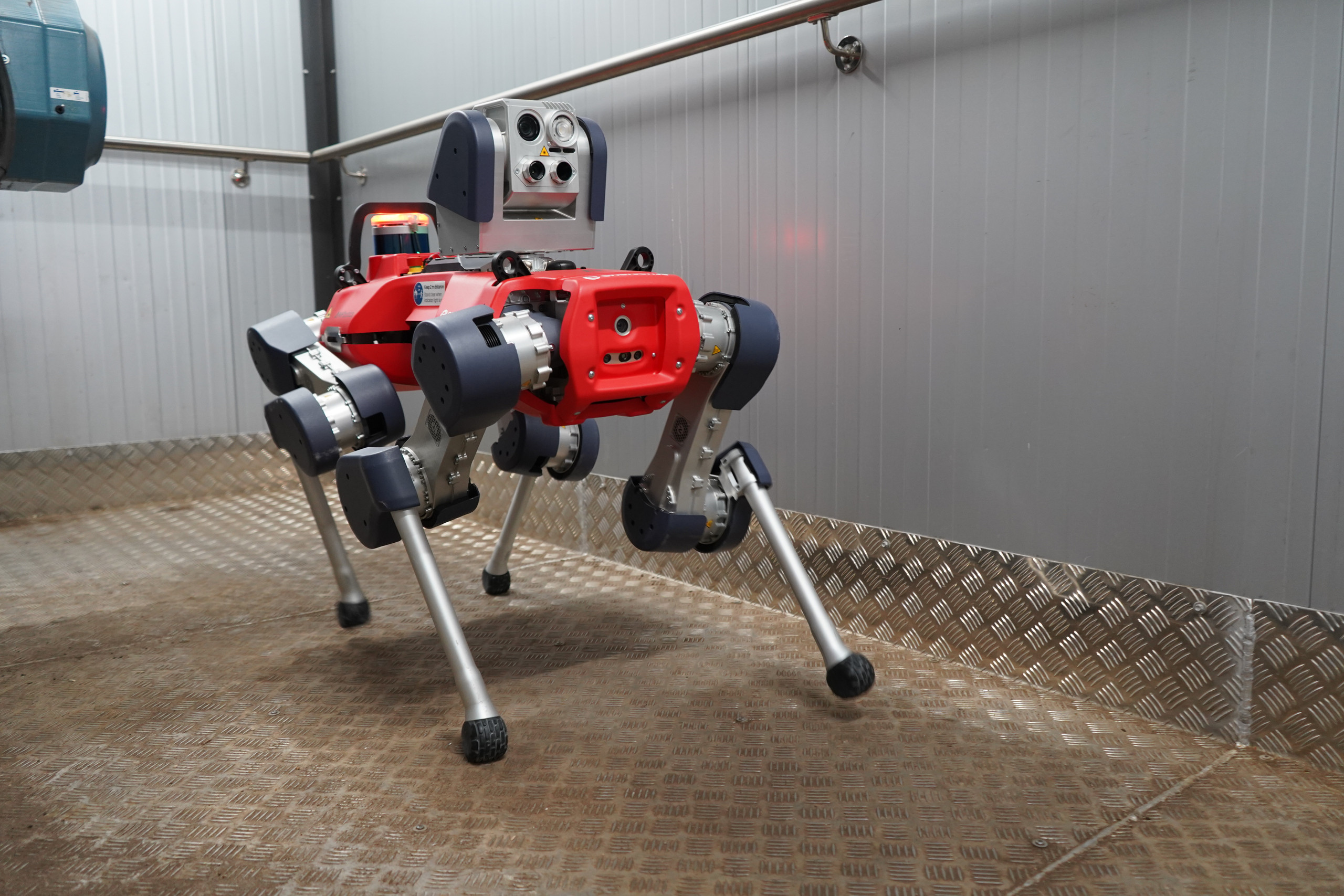 Robottikoira pysty